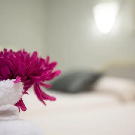 Paris Guest house Valladolid