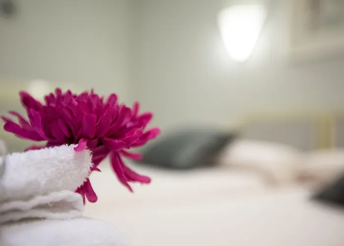 Paris Maison d'hôtes Valladolid