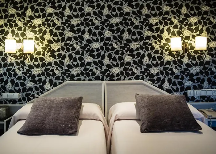 Paris 게스트하우스 바야돌리드